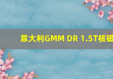 意大利GMM DR 1.5T核磁